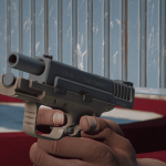 Springfield Armory XD Sub-Compact5