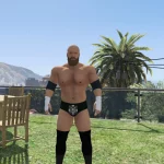 Triple H