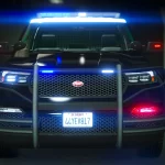 2020 Vapid Police Cruiser Utility 1.04