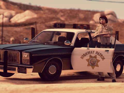 Bravado Greenwood Police Cruiser Minipack