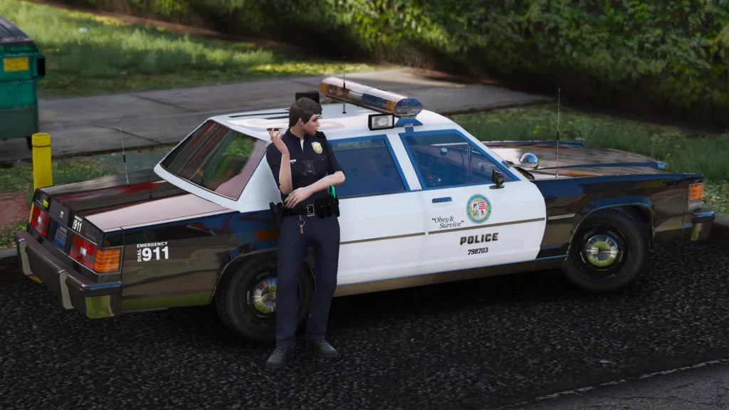 Dundreary Admiral Classic Police Cruiser Minipack [ADDON] V1.0