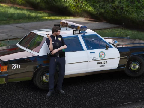 Dundreary Admiral Classic Police Cruiser Minipack [ADDON] V1.0