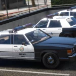 Dundreary Admiral Classic Police Cruiser Minipack [ADDON] V1.0