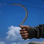 Hand Sickle 3