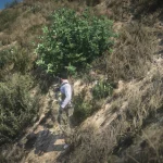 Michael De Santa tactical 1.03