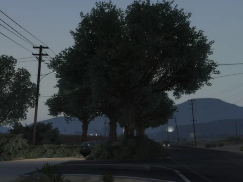 Sandy Shores Rader spot