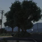 Sandy Shores Rader spot2