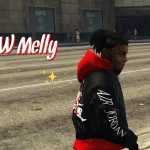 YNW MELLY 1.02