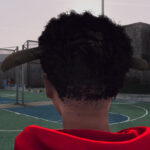 BLP Kosher Hair4