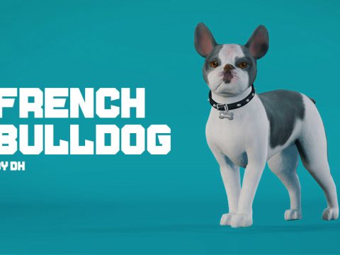 French Bulldog