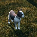 French Bulldog3