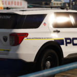 LSPD Mega Livery Pack 1.02