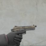 MW 2019-Renetti2