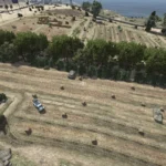 Destroyed Bakhmut3