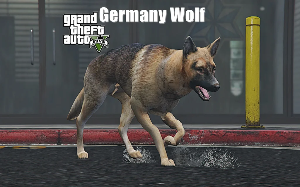 Germany Wolf