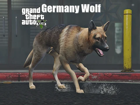 Germany Wolf