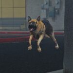 Germany Wolf2