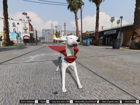 Krypto the Superdog