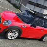 Mini John