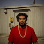 New Beard for Franklin 1.0