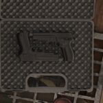 [INS2] SIG Sauer P226 MK25 V1.0