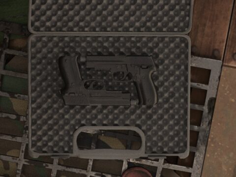[INS2] SIG Sauer P226 MK25 V1.0