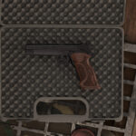 Sig P210 Target 1.0