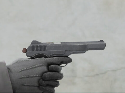 Stechkin APS