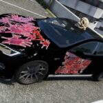 Tesla Model S Mohayham