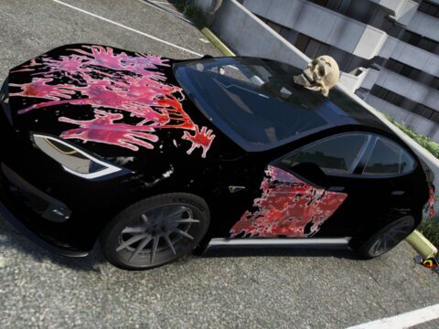 Tesla Model S Mohayham