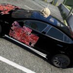 Tesla Model S Mohayham2