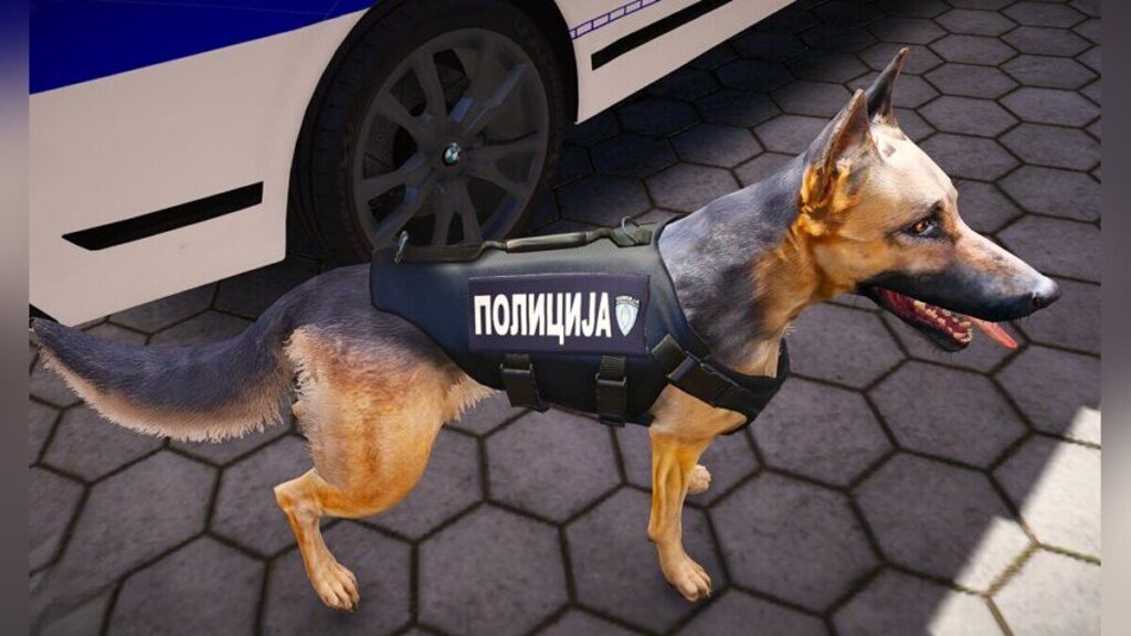 German Shepherd police dog