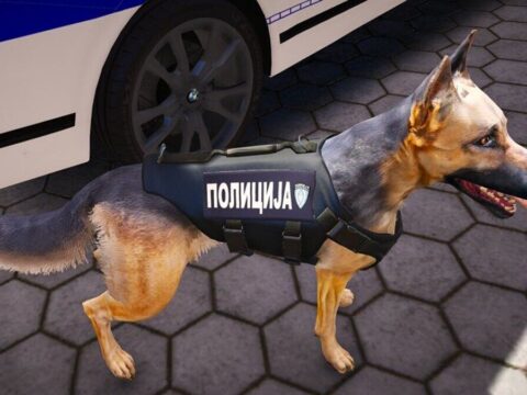 German Shepherd police dog