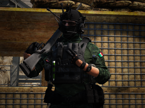 M24 SWS [Replace] V1.0