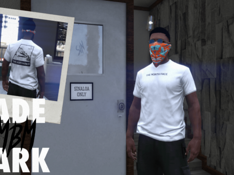 MBM - North Face Tshirt Pack (MP MALE) 20 Textures