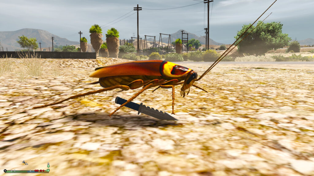 cockroach