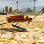cockroach