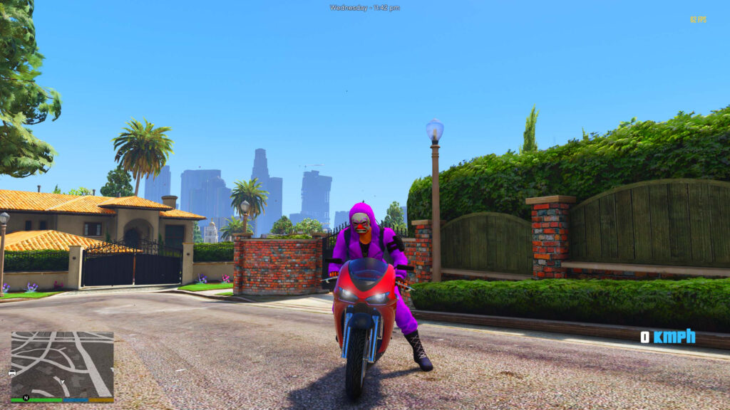 Purple criminal [Add-On Ped] V1.2