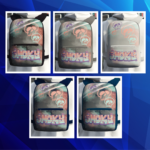 Backpack "Lewis" for MP Male V1.0