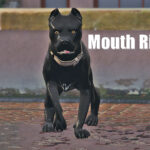 Cane Corso [4K Replace] V1.0