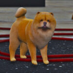 Chow Chow [Replace] V1.0