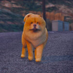 Chow Chow [Replace] V1.0