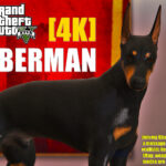 Doberman 4K (Replace) V1.0