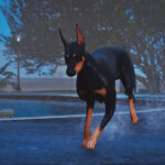 Doberman 4K (Replace) V1.0