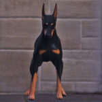 Doberman 4K (Replace) V1.0