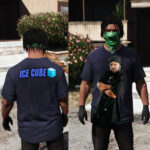 Families Gta Gang Shirts And Real Life Pack + Ice Cube Tshirt 1.04