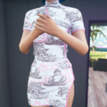 Short Qipao for MP Female 1.05