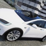 Tesla Model X1