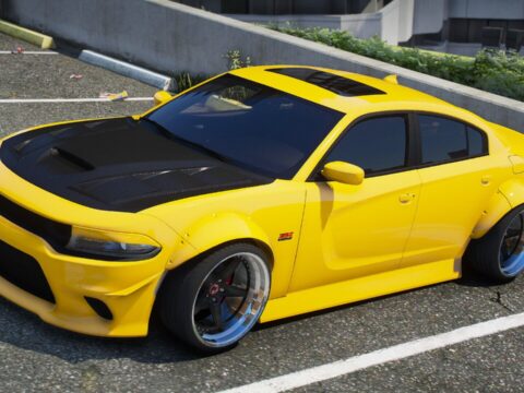Dodge Charger Show