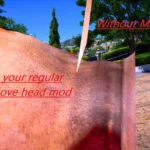 Hide Head in First Person Overlay (Not your regular remove head mod) V1.0